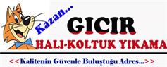 Gicir Hali Koltuk Yikama Vip Sektor